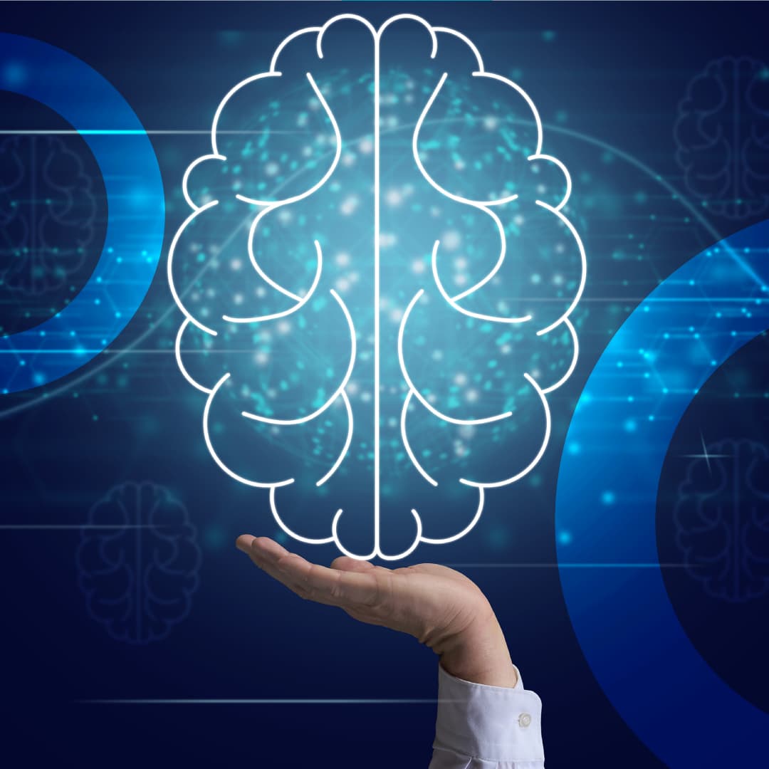 Estratégias de neuroeducação nas escolas