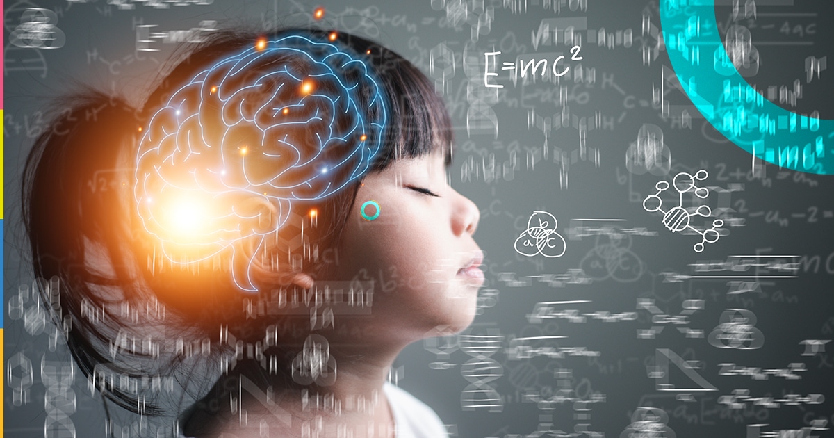 Como a neurociência contribui para a educação?