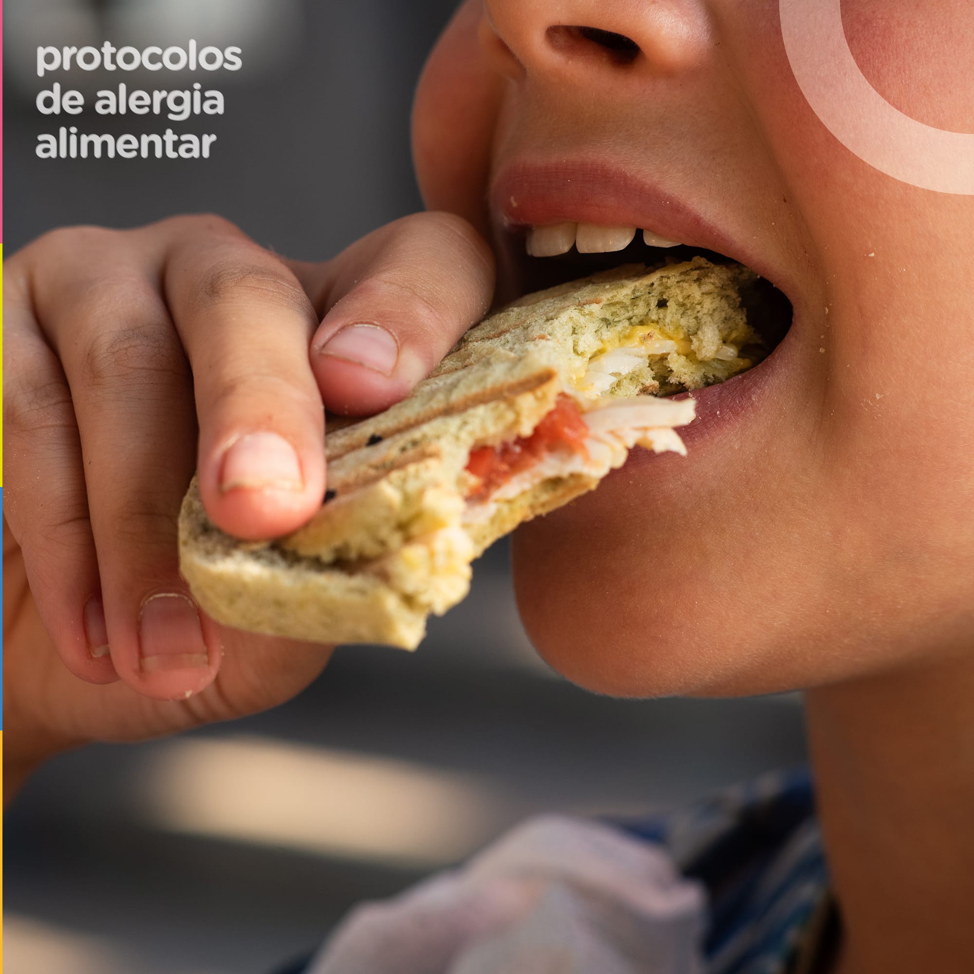 Protocolos de alergia alimentar nas escolas